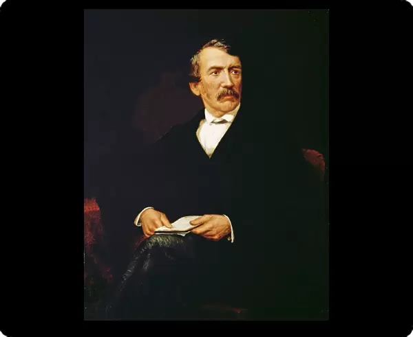 Portrait of Livingstone (1813-1873) (oil on canvas)