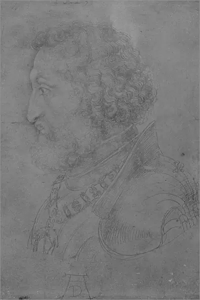 Frederick II of the Rhine, Elector Palatine, 1523 (pencil on paper) (b  /  w photo)