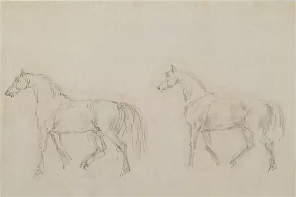 Two horses walking left (graphite on paper)