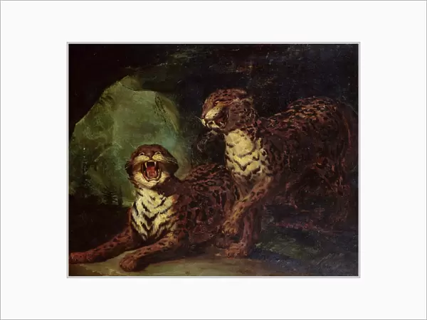 Two Leopards, c. 1820 (oil on canvas)