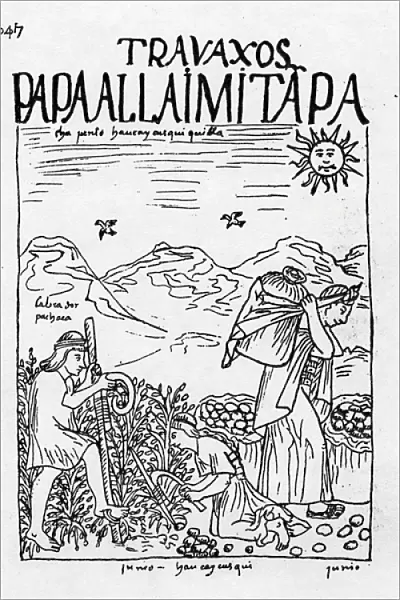 The Month of June, Harvesting the Potatoes (woodcut)