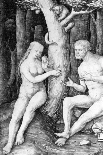 Adam and Eve, c. 1506 (engraving)