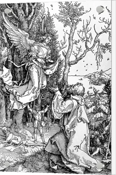 Joachim and the Angel from the Life of the Virgin series, pub. 1511 (woodcut)