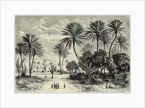 Oasis of Gafsa: Tunis (engraving)