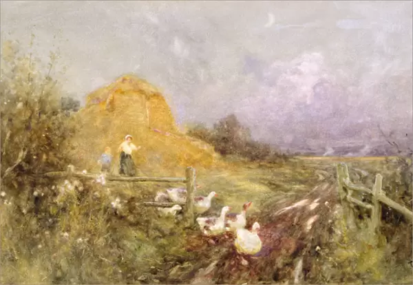 Driving Geese, Early Evening, 1907 (w  /  c on paper)