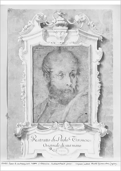 Portrait of a man presumed to be Veronese (Paolo Caliari) (pierre noire on bluish paper)