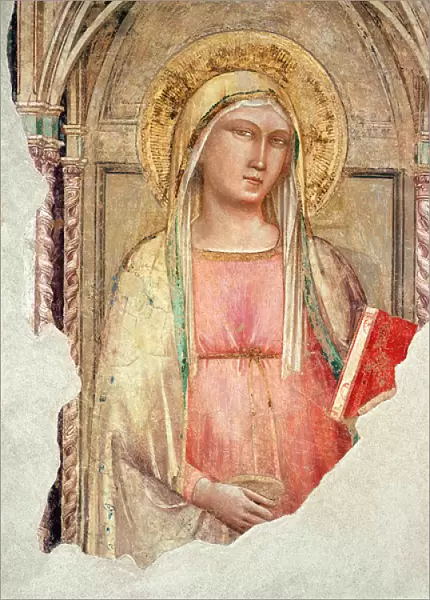Madonna del Parto (fresco)
