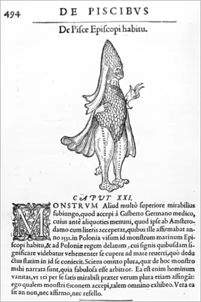 Sea Monster, illustration from Libri de Piscibus Marinis by Guillaume Rondelet