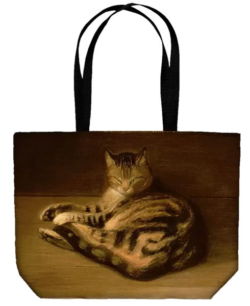 Recumbent Cat, 1898