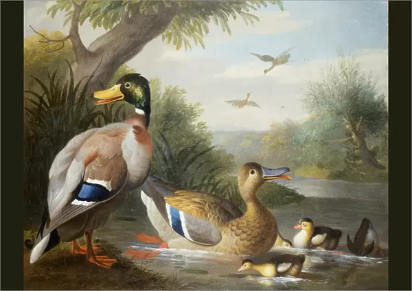 Ducks in a River Landscape