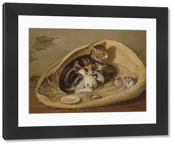 Cat with Her Kittens in a Basket, 1797 (oil on canvas)