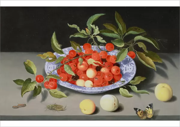 Still Life of Cherries and Peaches