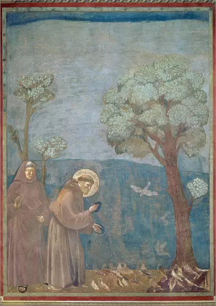 St. Francis Preaching to the Birds, 1297-99 (fresco)