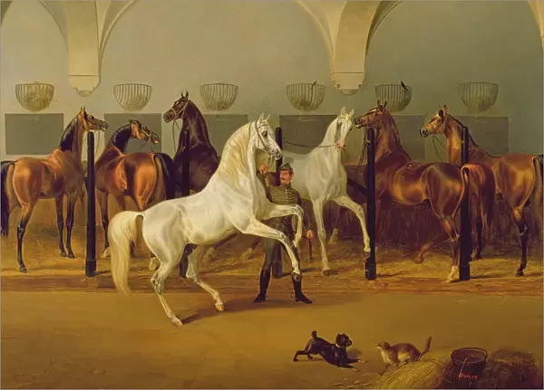 The Stables at Babolna, 1849