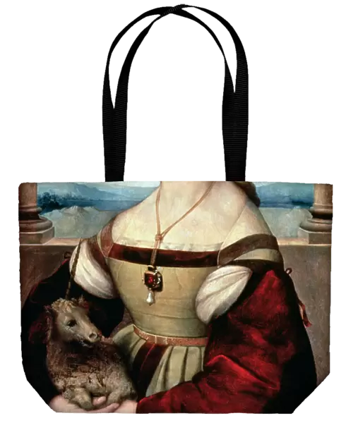 Portrait of a Lady with a Unicorn, c. 1505-6 (oil on panel)