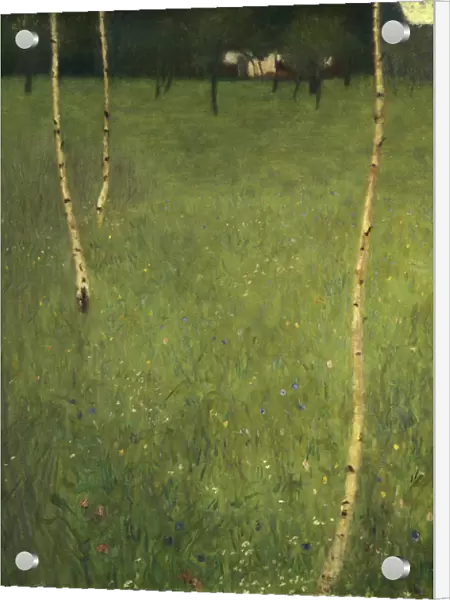 Farmhouse with Birch Trees, 1900 (oil on canvas)