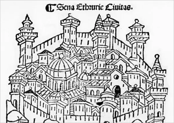 View of Siena, from Supplementum chronicarum, edition published in 1490