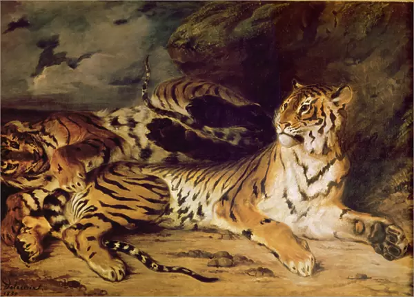 Young tiger playing with his mother, 1830 (oil on canvas)