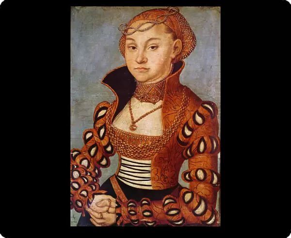 Portrait of a Noble Saxon Woman, 1534 (oil on wood)