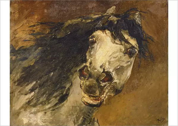 Head of a Horse (oil on canvas)