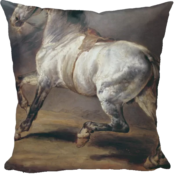 A Study of a Horse (oil on canvas)
