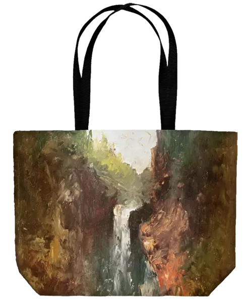 Waterfall (also known as the La Chute de Conches), 1873 (oil on wood)