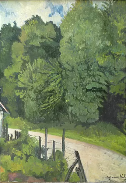 Road in the Forest, 1914 (oil on canvas)