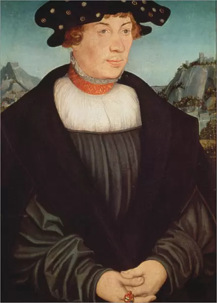 Portrait of Hans Melber, 1526 (oil on panel)