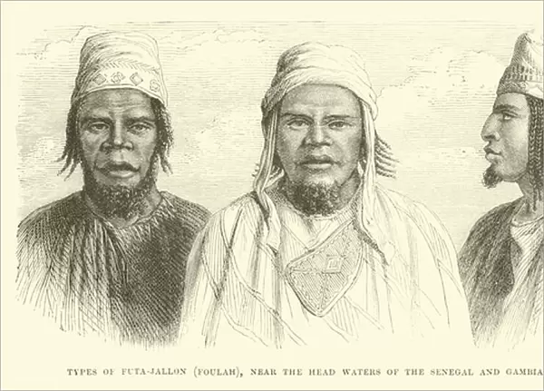 Types of Futa-Jallon, Foulah, near the head waters of the Senegal and Gambia Rivers (engraving)