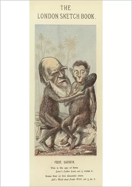 Caricature of Charles Darwin (colour litho)