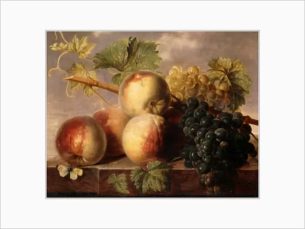 Peaches and Grapes with a Cabbage White on a Marble Ledge, (oil on marble)