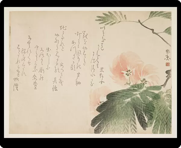 Flowering silk tree, c. 1830-43 (colour woodblock print)