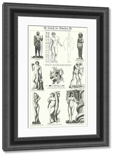 The human figure in the visual arts (engraving)