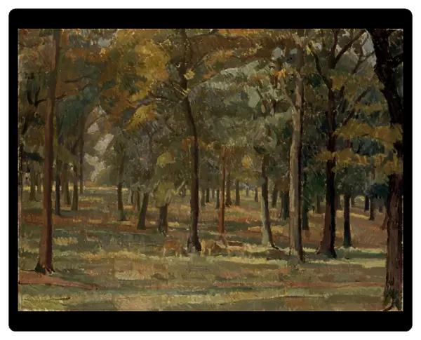 Richmond Park, 1914 (oil on canvas)