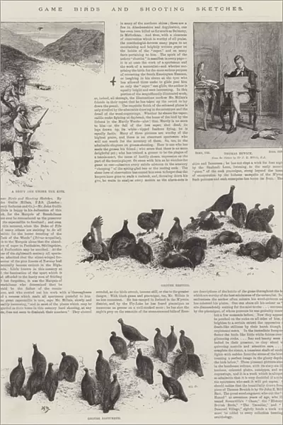Game Birds and Shooting Sketches (engraving)