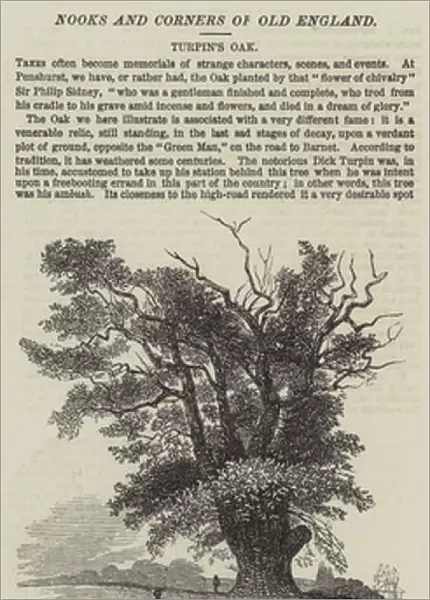 'Turpins Oak, 'at Finchley (engraving)