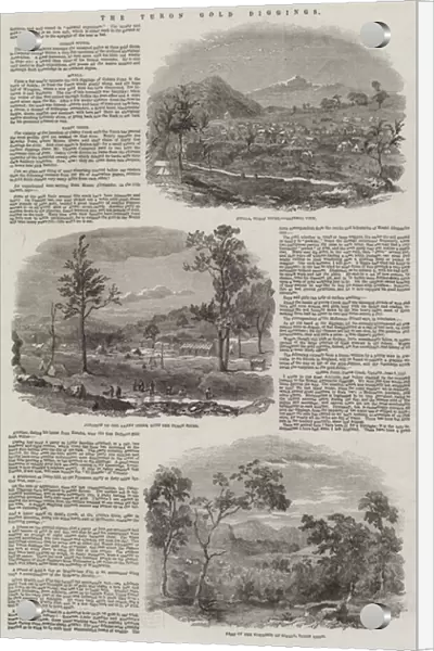 The Turon Gold Diggings (engraving)