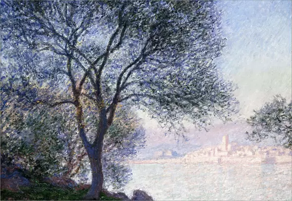 Antibes seen from the Salis, 1888 (oil on canvas)