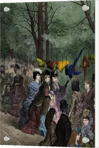 The parrot walk at a Victorian London zoo by Dore