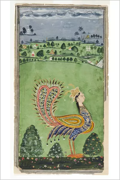 Mythical peacock with a womans head, Hyderabad, c. 1750 (opaque w  /  c & gold on paper)