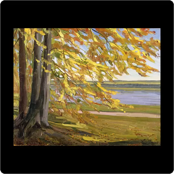 Lake Starnberg; Starnberger See, 1911 (oil on canvas)