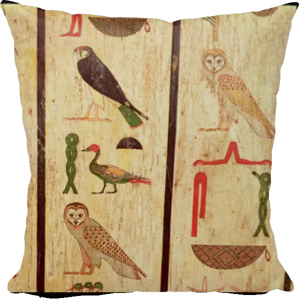 The sarcophagus of Psamtik I (664-610 BC) detail of hieroglyphics
