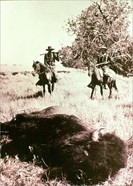 American Bison Hunters (b  /  w photo)