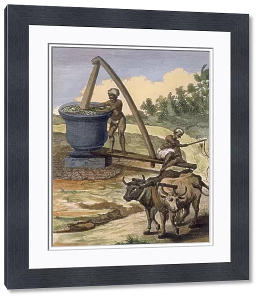 An oil mill worked by a pair of oxen, engraved by Poisson
