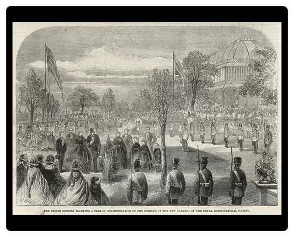 The Prince Consort planting a tree in commemoration of the opening of the new gardens of the Royal Horticultural Society (engraving)