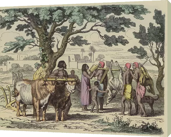 Ancient Egyptian farmer and hunters (coloured engraving)