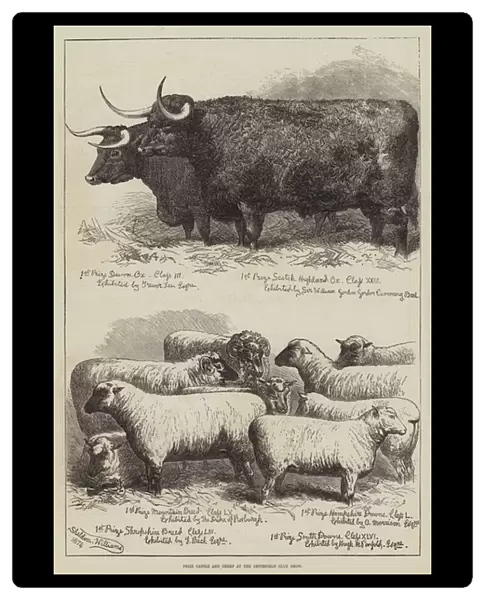 Prize Cattle and Sheep at the Smithfield Club Show (engraving)