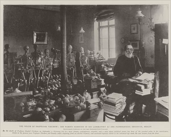 The Death of Professor Virchow, the Famous Scientist in his Laboratory at the Pathological Institute, Berlin (b  /  w photo)