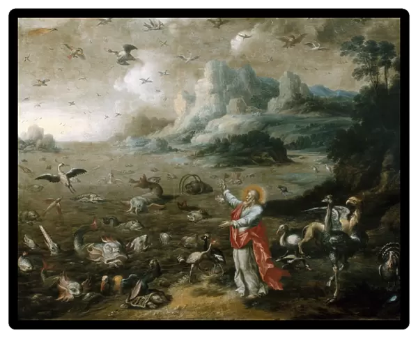 The genesis: creation of the birds and fishes, 17th century (painting)