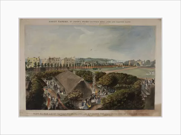 View of the Abbey Taverns promenades and grounds, Violet Hill, Marylebone, c